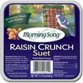 Morning Song Morning Song 11436 11.75 oz Raisin Crunch Suet Wild Bird Food 11436